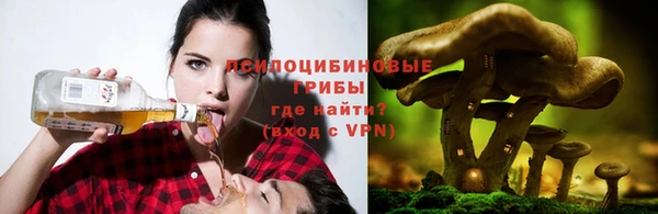 тгк Алзамай