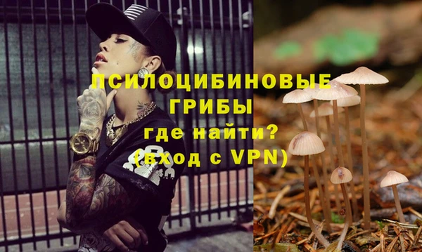 тгк Алзамай