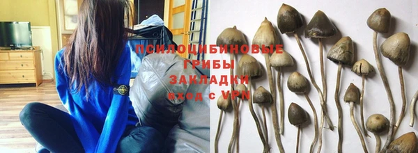 СК Абаза